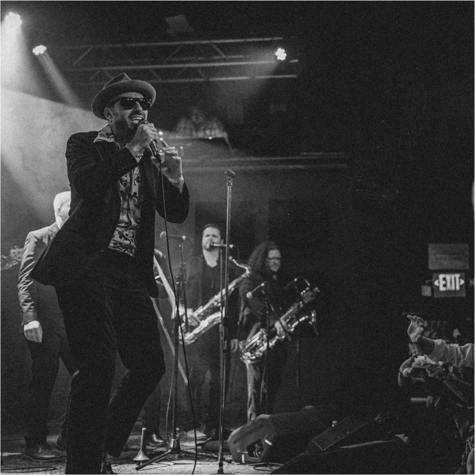 REPOSADO performing live on stage